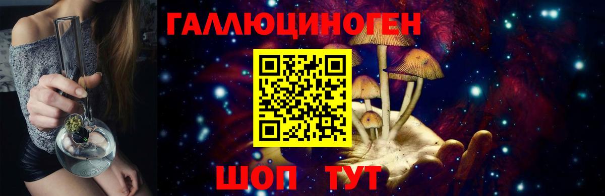 дарнет шоп  Псилоцибиновые грибы Psilocybe  Вход с VPN  Саранск 
