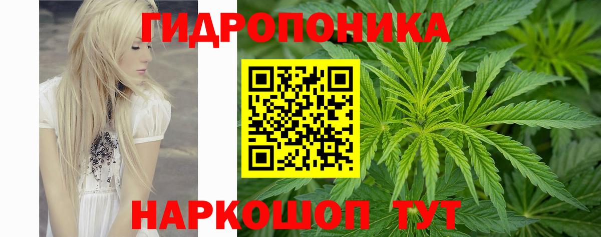 МАРИХУАНА White Widow Саранск